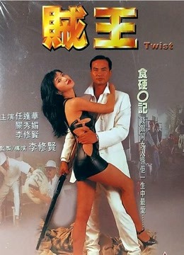 賊王 1995(全集)